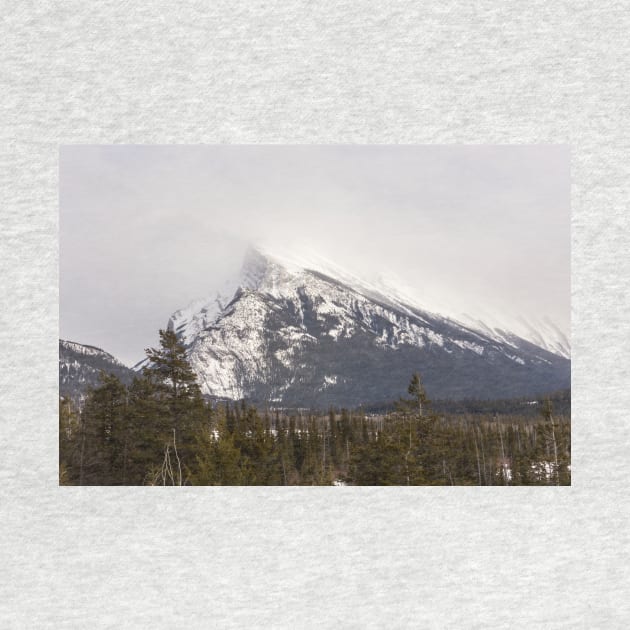 The Canadian Rockies in winter by josefpittner